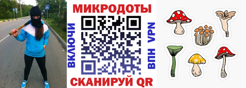 kraken ONION  Вологда  Псилоцибиновые грибы мухоморы  купить  сайты 