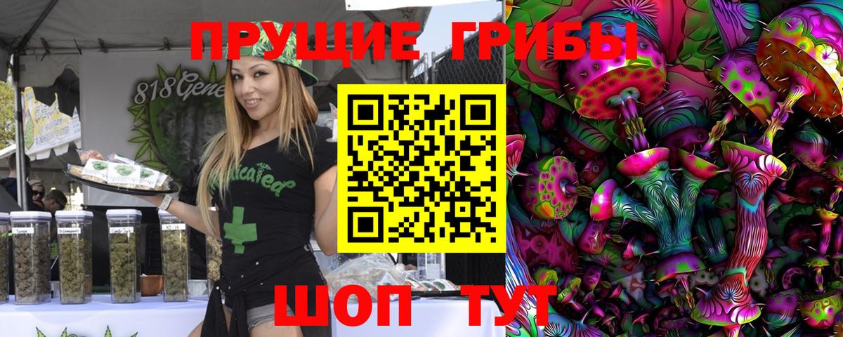 Галлюциногенные грибы мицелий  Псилоцибиновые грибы Magic Shrooms  Вологда  Вход с VPN 