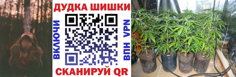 где можно купить наркотик Вологда Бошки марихуана марихуана